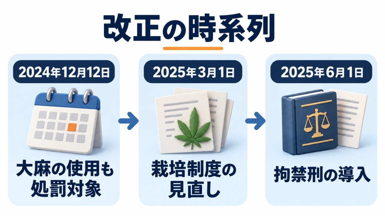 大麻に関する改正の時系列。2024年12月12日に不正な使用が処罰対象、2025年3月1日に栽培制度見直し、2025年6月1日に拘禁刑導入